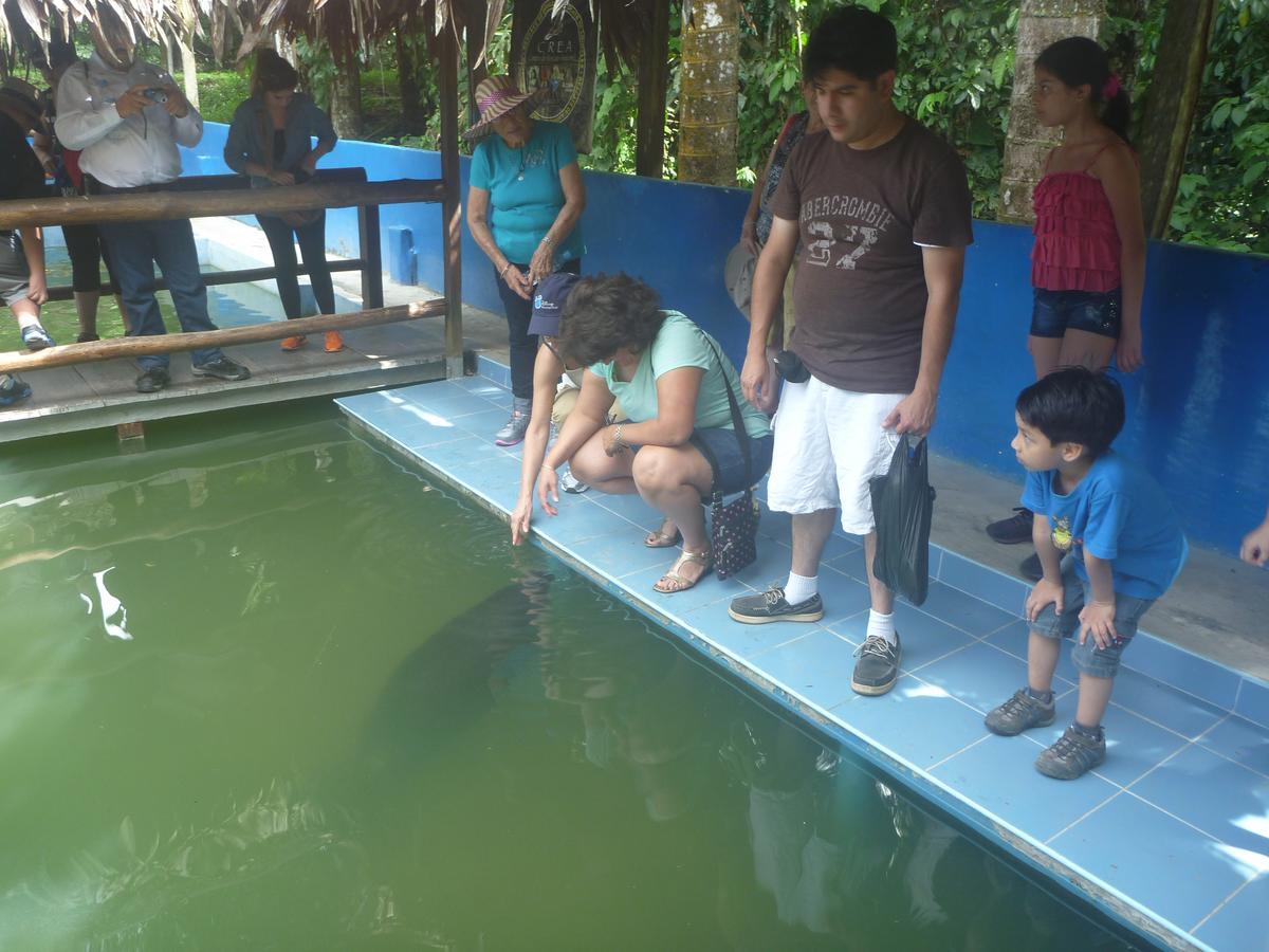 Hospedaje Las Amazonas Iquitos Eksteriør bilde