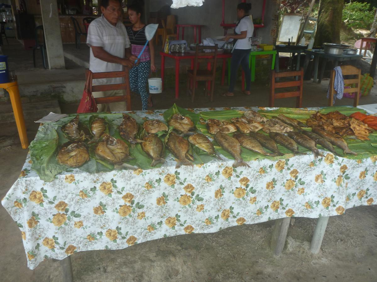 Hospedaje Las Amazonas Iquitos Eksteriør bilde